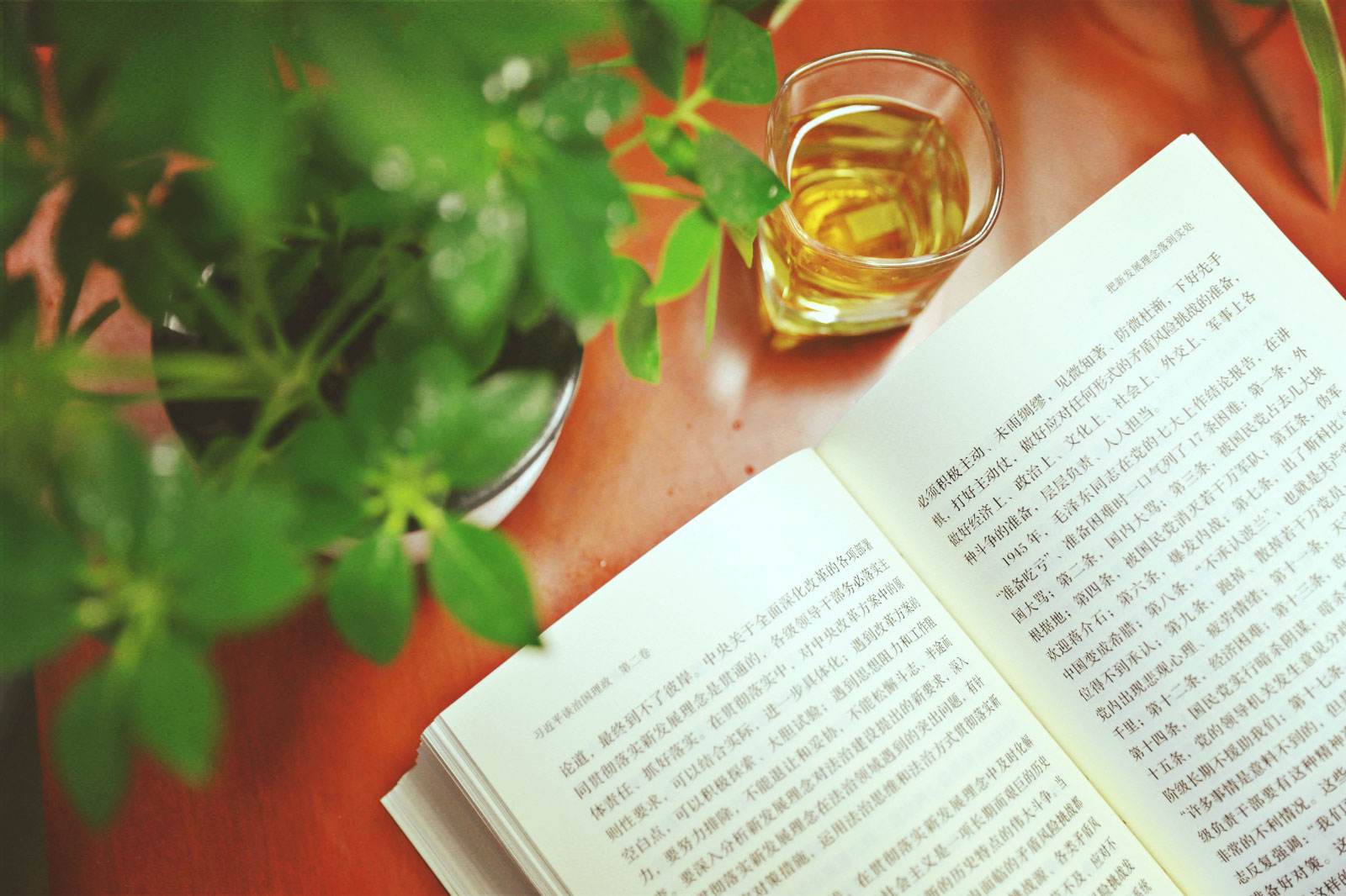 1567762278981552.jpg 養(yǎng)成閱讀習慣.jpg